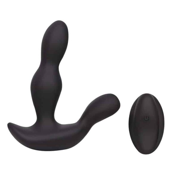 Pleaser Richard Prostata Vibrator Sort